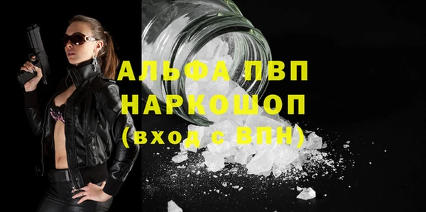 spice Белокуриха