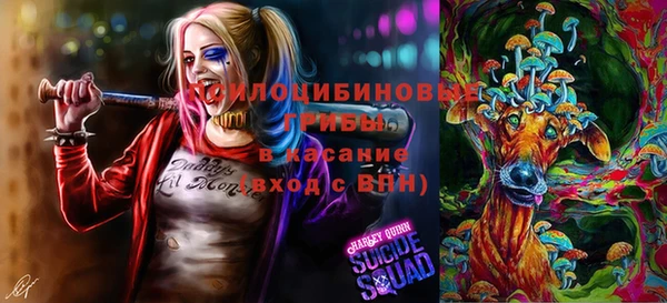 прущие крисы Белоозёрский
