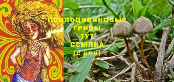 spice Белокуриха