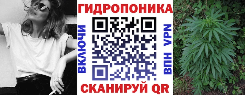 как найти   Нижние Серги  Каннабис марихуана 